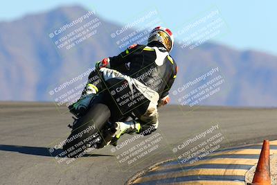 media/Jan-09-2022-SoCal Trackdays (Sun) [[2b1fec8404]]/Turn 12 Backside (130pm)/